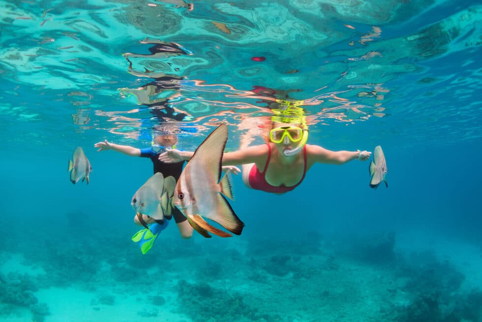 Boardwalk Resort Vacations Guide to a Diver’s Paradise on Bonaire