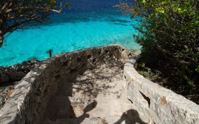 Boardwalk Resort Vacations Guide to a Diver’s Paradise on Bonaire